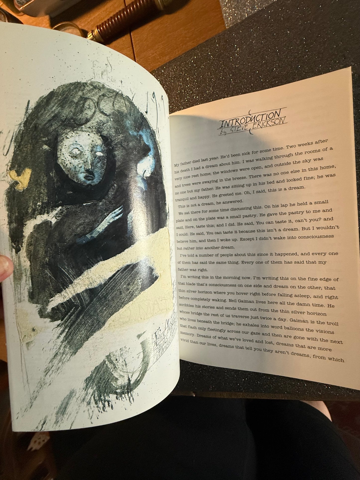 SIGNED SANDMAN DREAM COUNTRY graphic novel- Intro by Steve Erickson