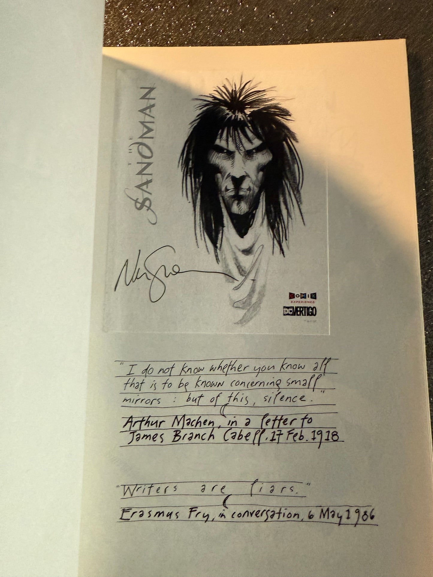 SIGNED SANDMAN DREAM COUNTRY graphic novel- Intro by Steve Erickson